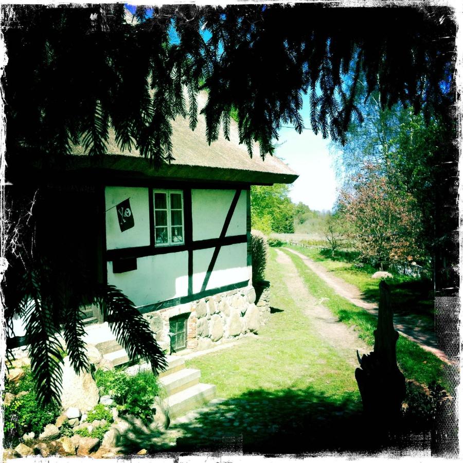 Apartment Vera, Nähe Binz in traumhafter Alleinlage, 4-8 P. - Bed and Breakfast