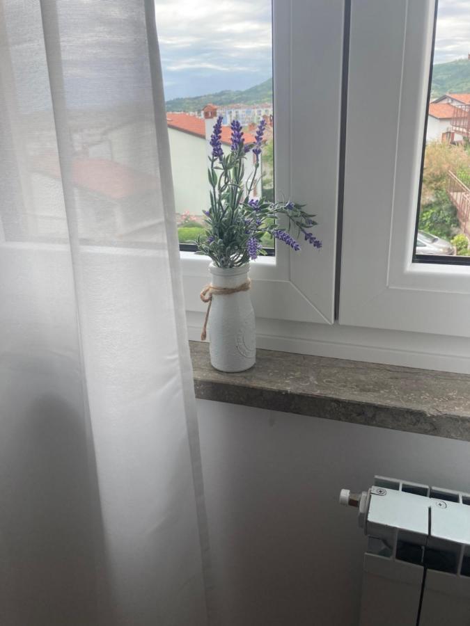 Bellevue - B&B Isola d'Istria