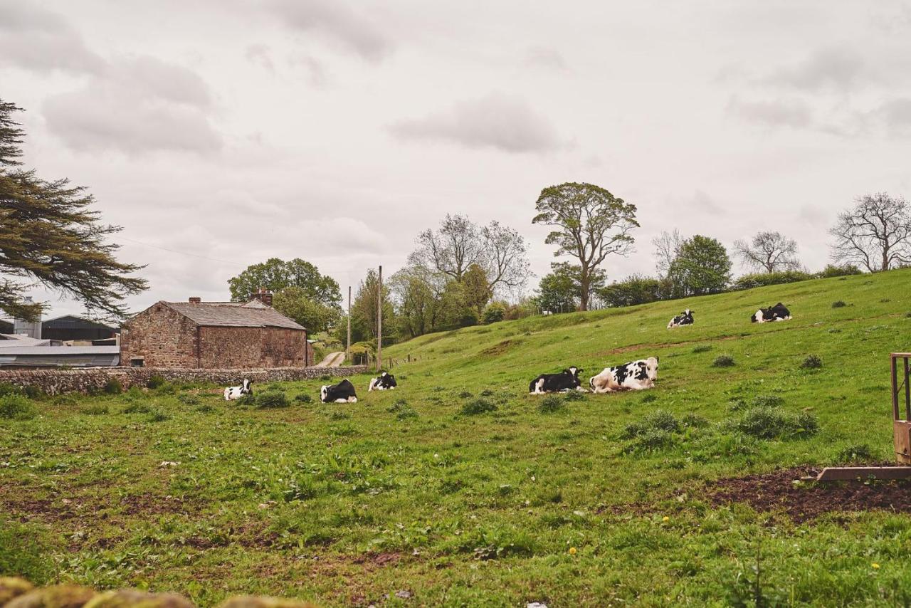 Plum Cottage - B&B Appleby