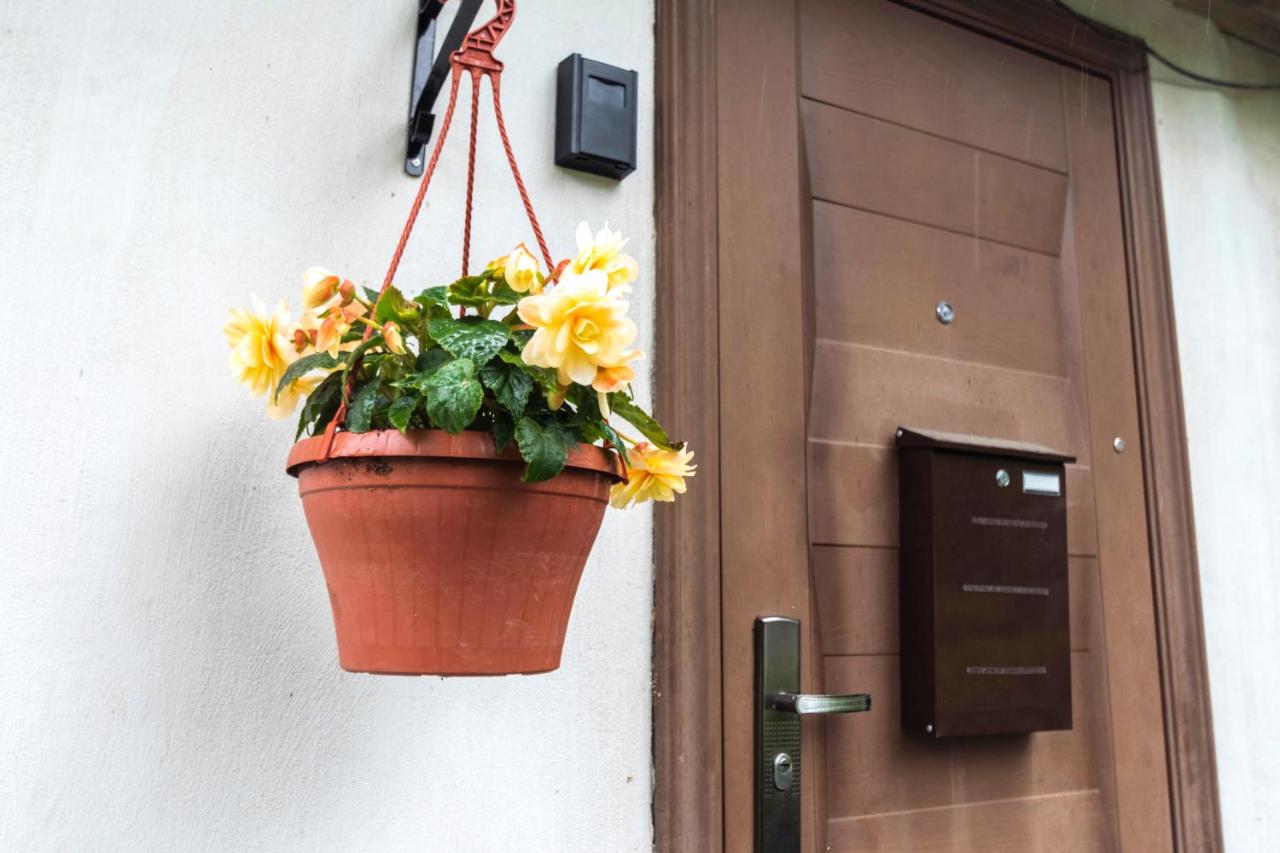 Napoleona apartamenti - B&B