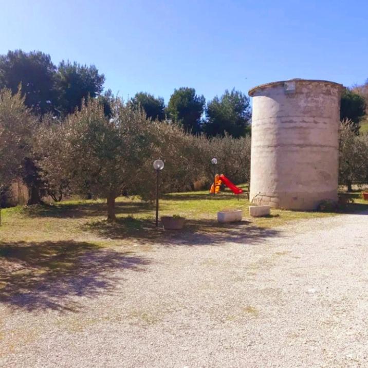 L'ulivo e lo scoiattolo - Chambres d’hôtes