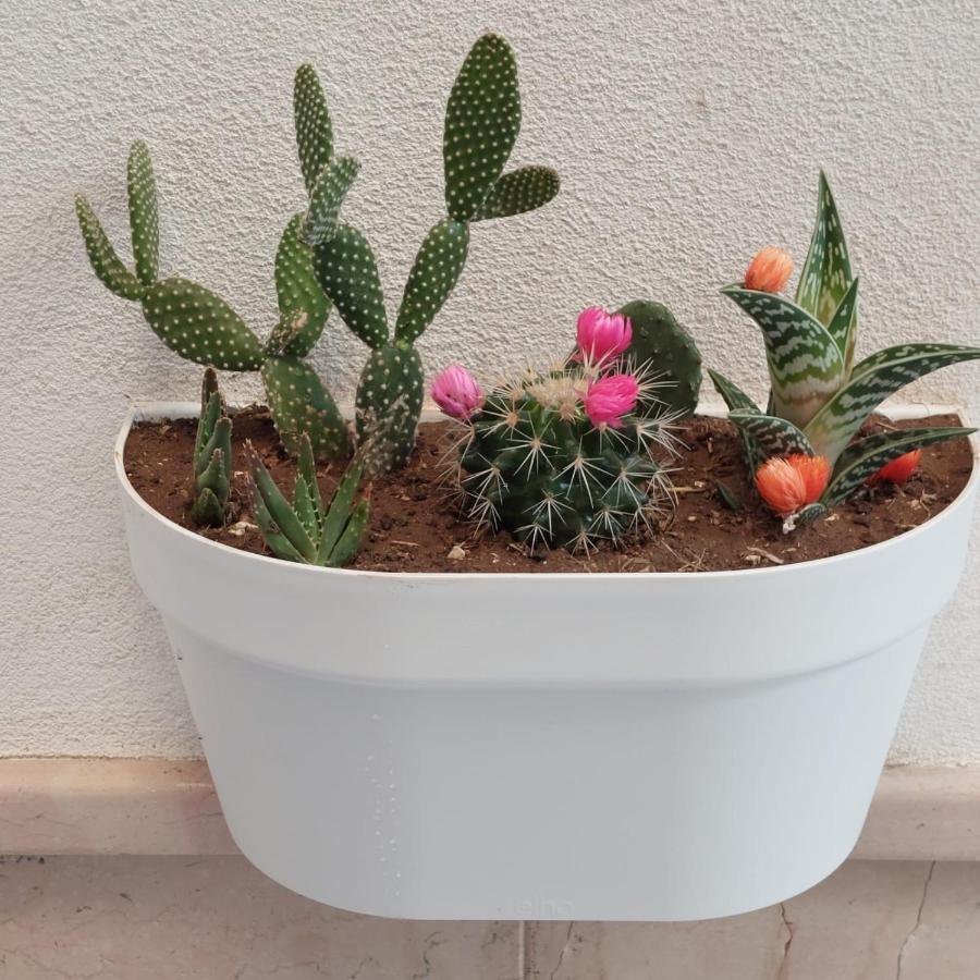 CASA VACANZE NANA' VIESTE - B&B