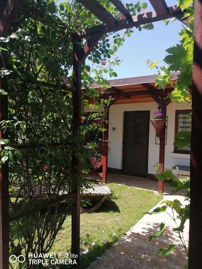 Casa Stefy Vama Veche - B&B