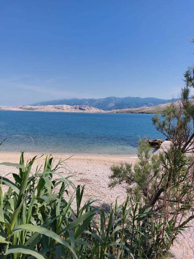 Sunny Deluxe Apartment with 2 AC and seaview - 50 m from sandy beach - B&B Isola di Pago