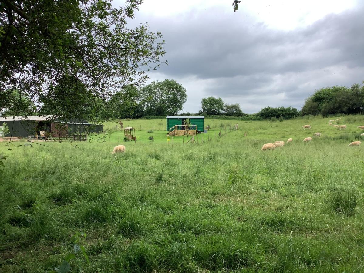 B&B Cullompton - Shepherds Hut (Benny's) - Bed and Breakfast Cullompton