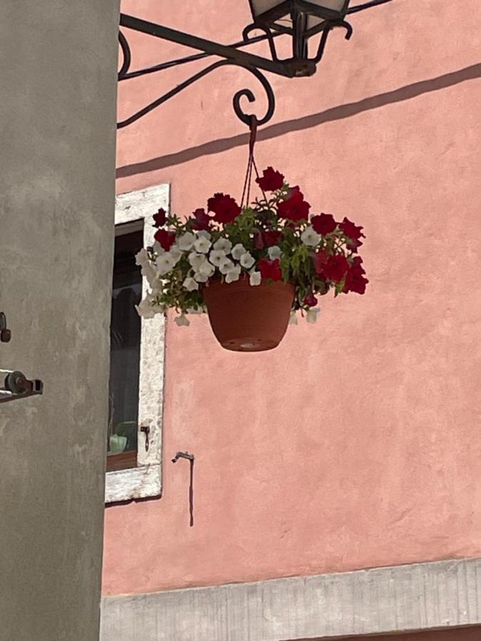 Apartment ALMA - B&B