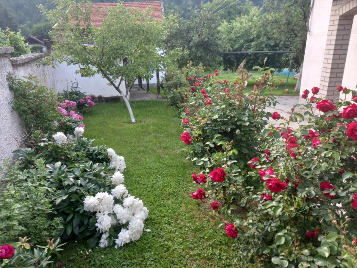 B&B Visoko - Red Rose - Bed and Breakfast Visoko