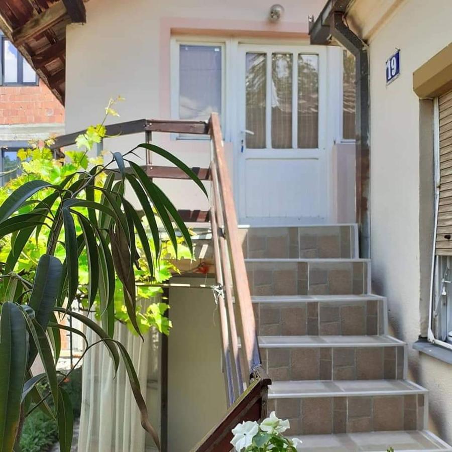 Estudio con terraza