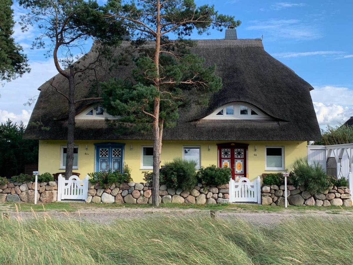 Strandvilla Dolce Vita und Meer - Ferienwohnung Ostseebad Dierhagen