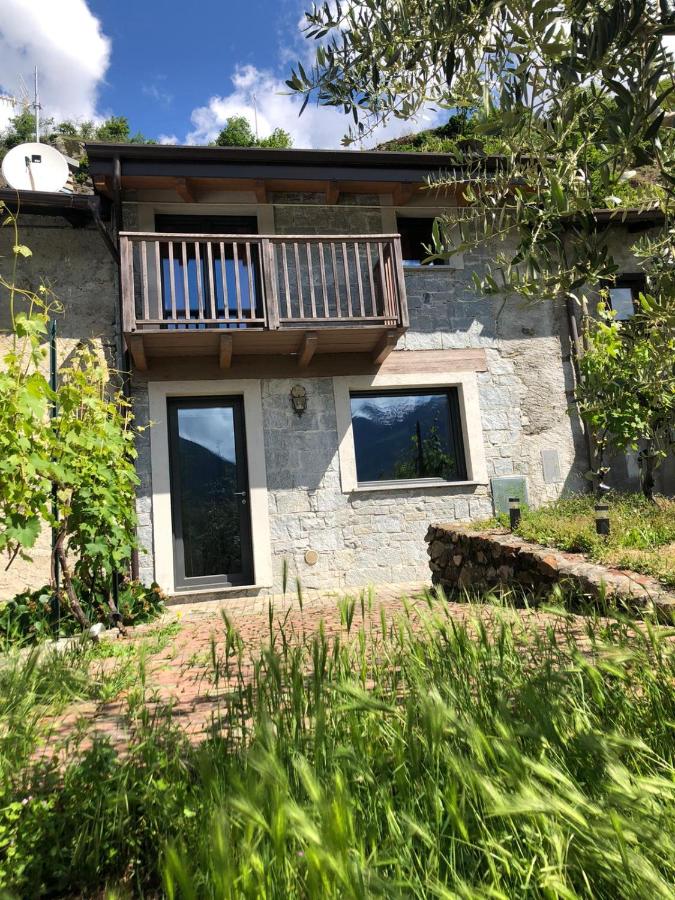 Casa dell'Olivo - B&B