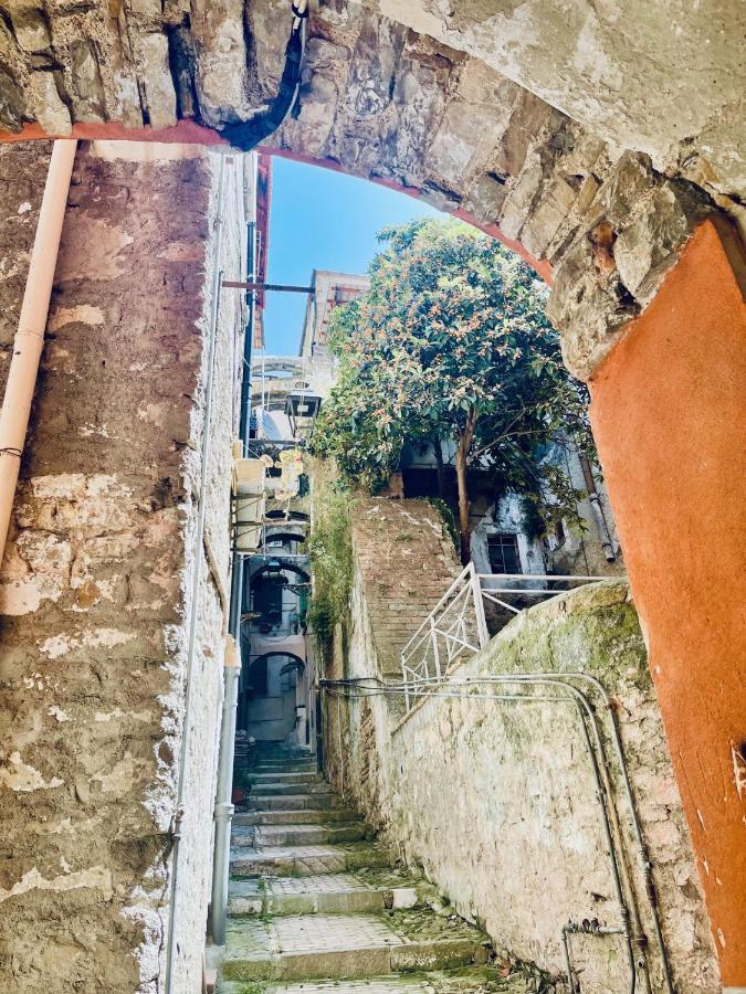 Pigna Tommy House - B&B