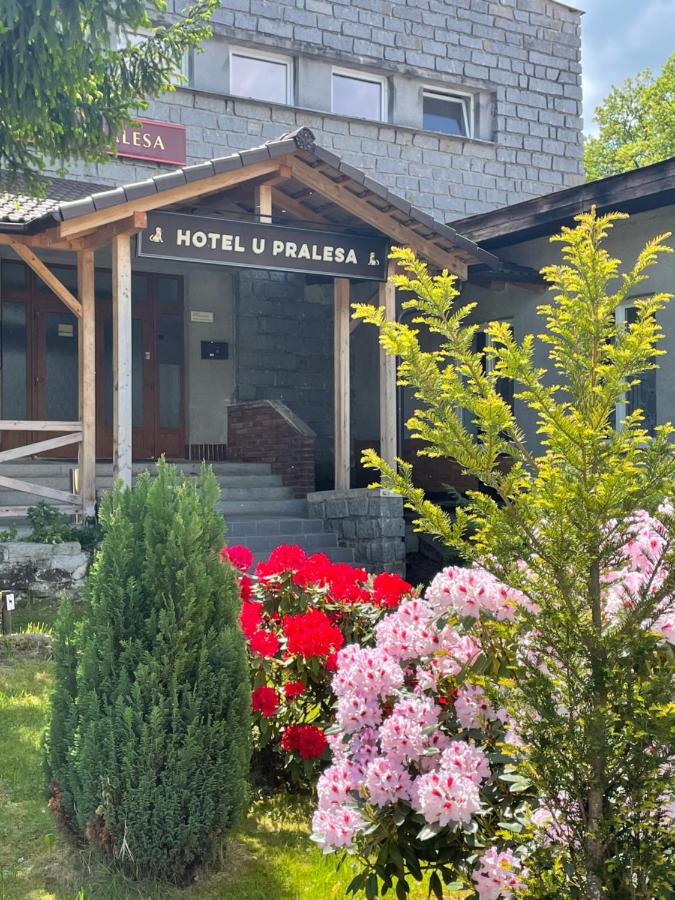 Apartmány IMLADRIS, Hotel u pralesa - Bed and Breakfast