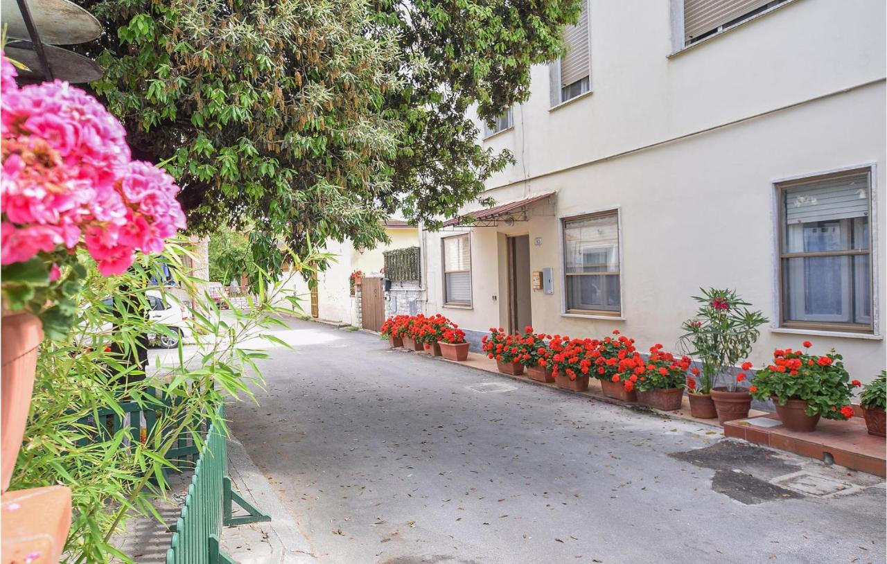 B&B Vitiana - Nice Apartment In Vecchiano With Wifi And 1 Bedrooms - Bed and Breakfast Vitiana