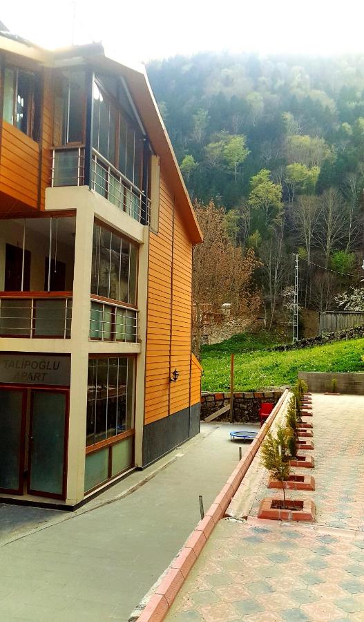 Talipoğlu Apart - Ferienwohnung Uzungöl