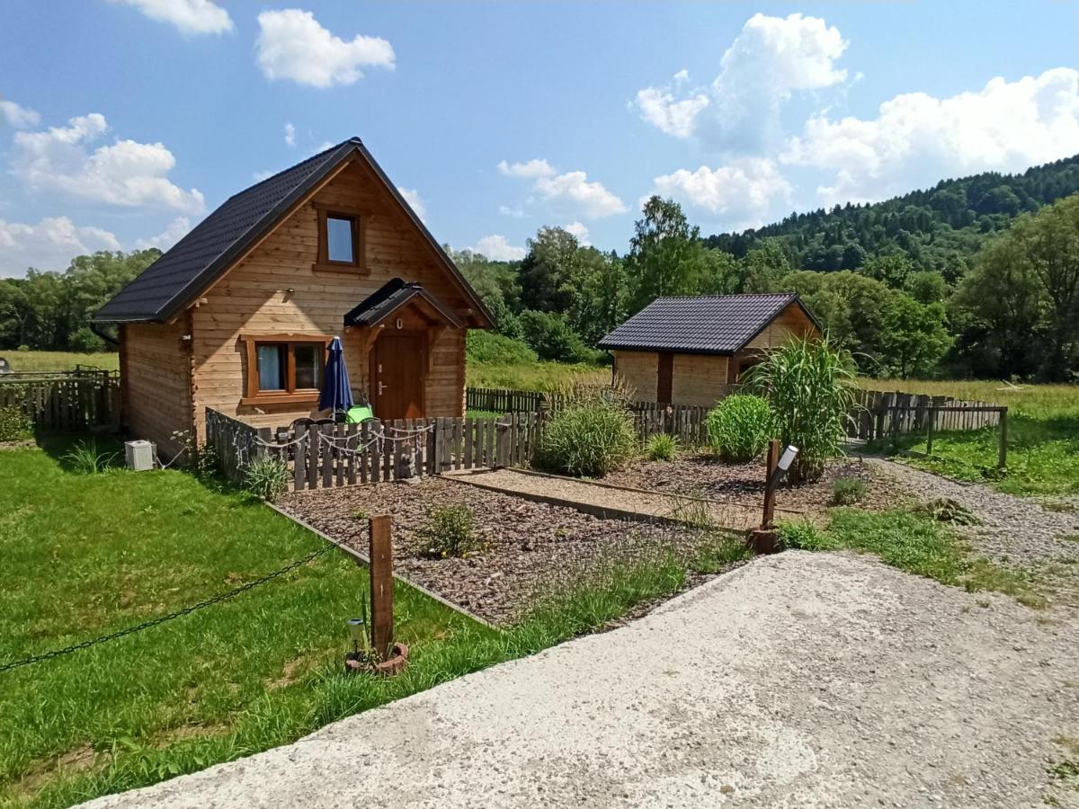 Dolina Rosy - B&B