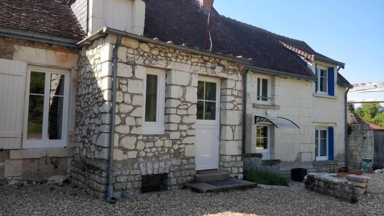 Les Amis de Beauval - B&B Seigy