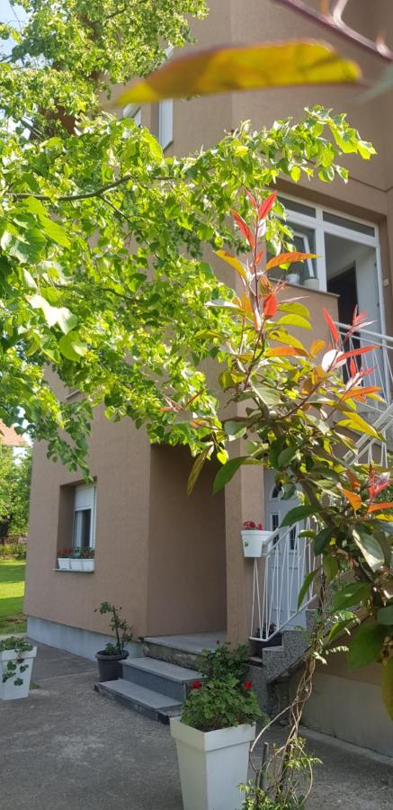 Apartman - Kuća Kod Parka - B&B