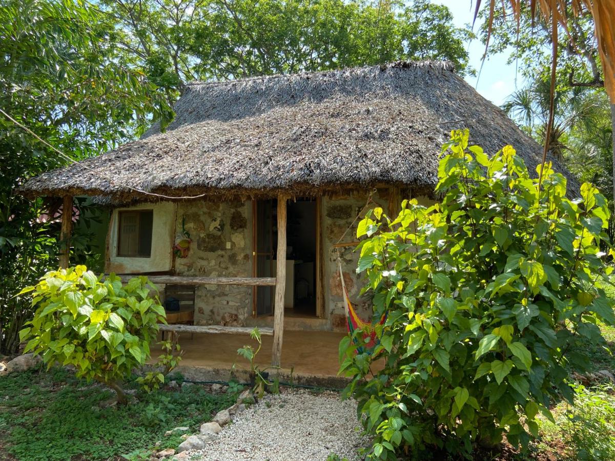 Encantadora Villa Maya tradicional en Rancho Agroecologico - B&B Tzucacab