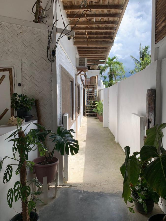Tribal Xperience Guesthouse - B&B San Vicente
