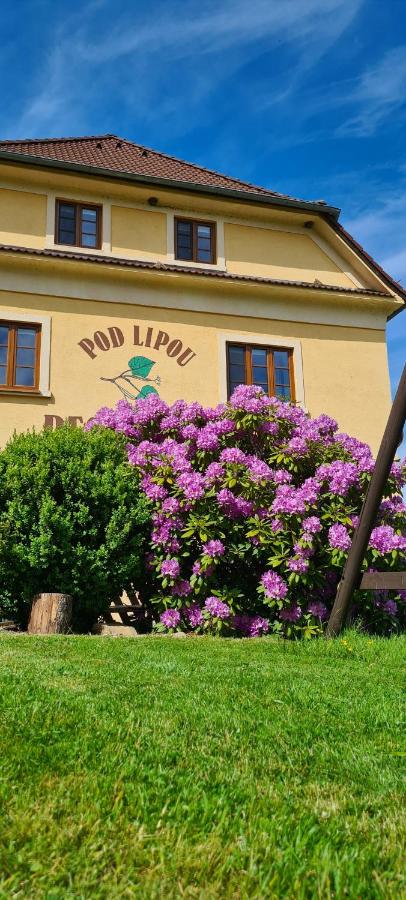 Pension Pod Lipou - B&B Loučovice