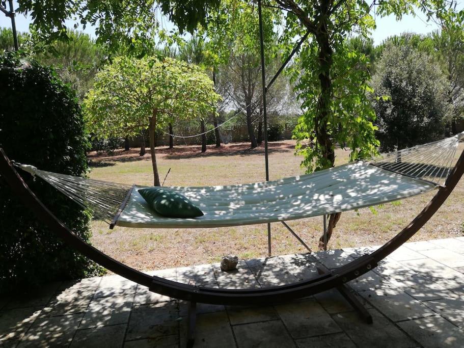 Villa del glicine - Ferienwohnung