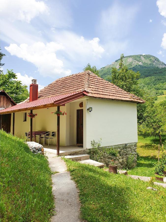 B&B Mojkovac - Farmstead Green Haven - Bed and Breakfast Mojkovac