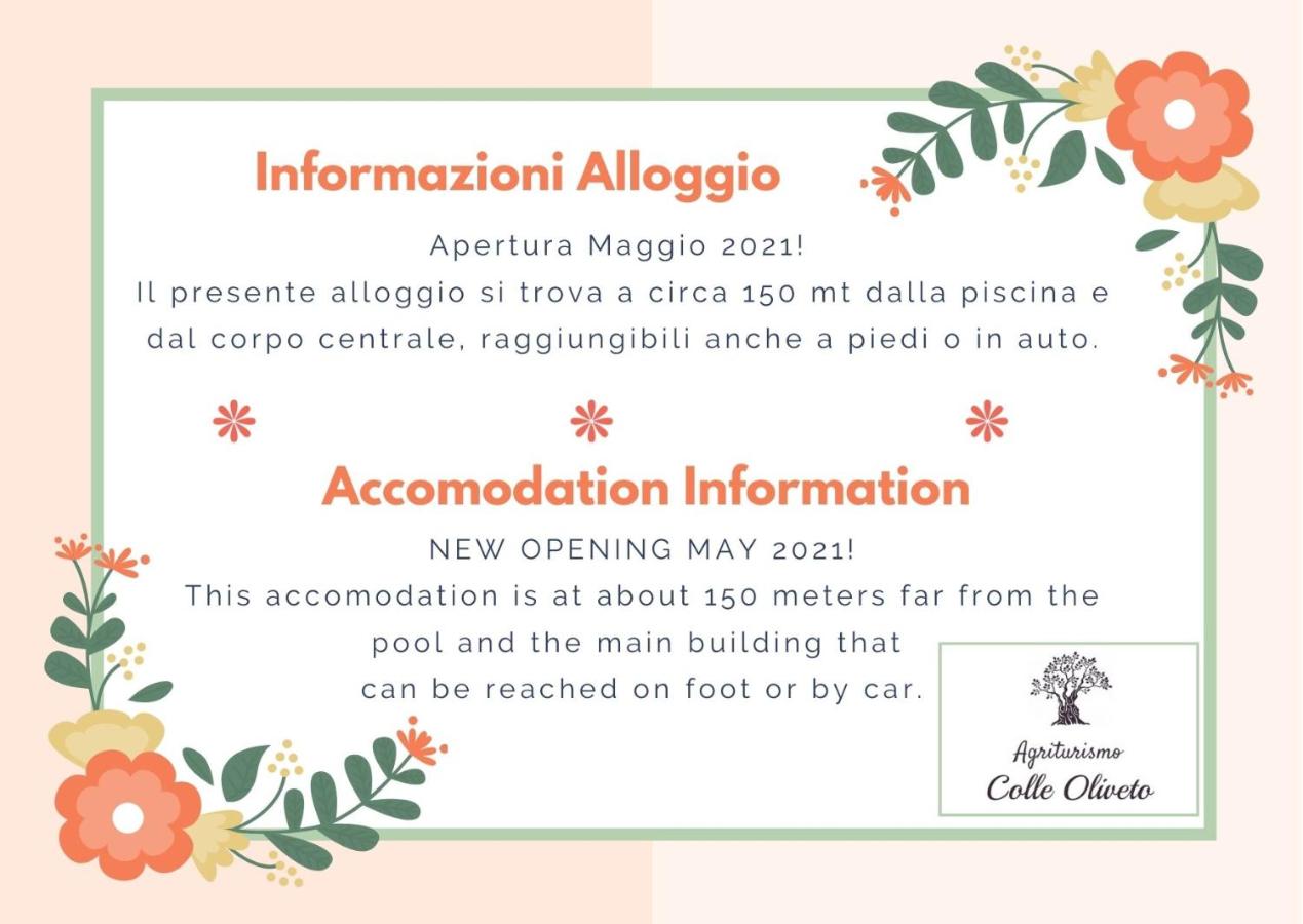 Appartement - Vue sur Jardin