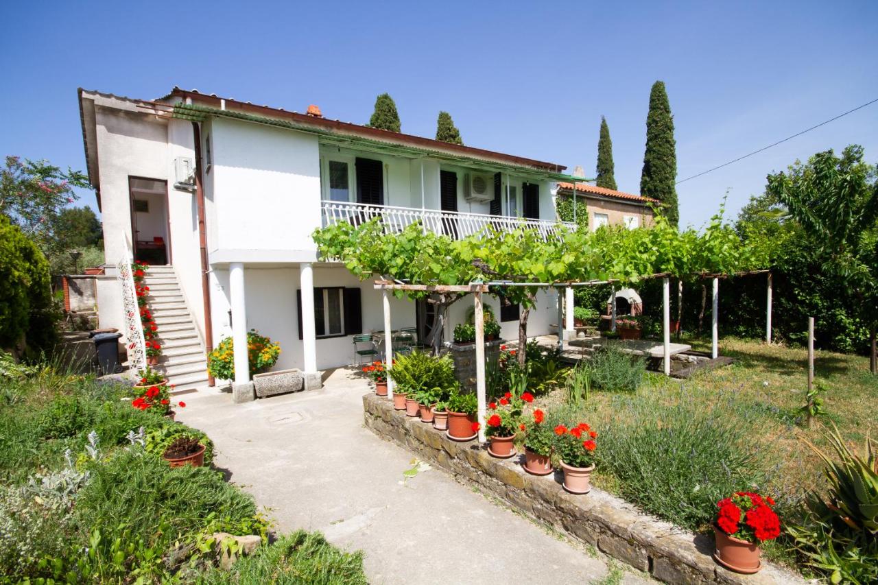 Apartments Juratovec - Ferienwohnung Portorož