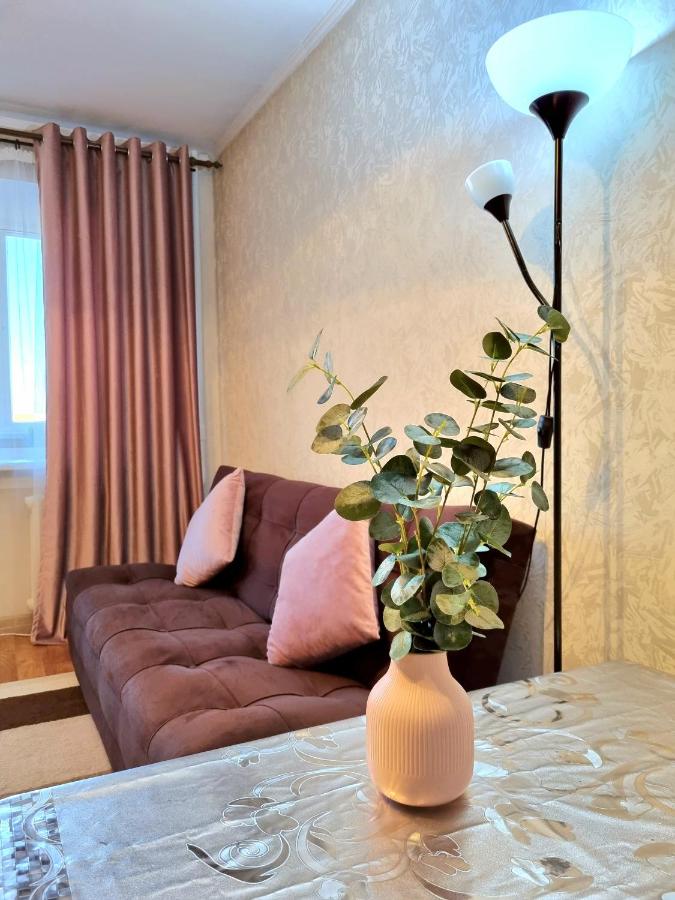 B&B Ust-Kamenogorsk - Apartment на Стрелке с красивым видом на Иртыш - Bed and Breakfast Ust-Kamenogorsk