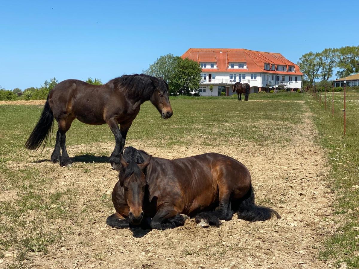 Studio "MS Muschel" im Ferienpark - B&B