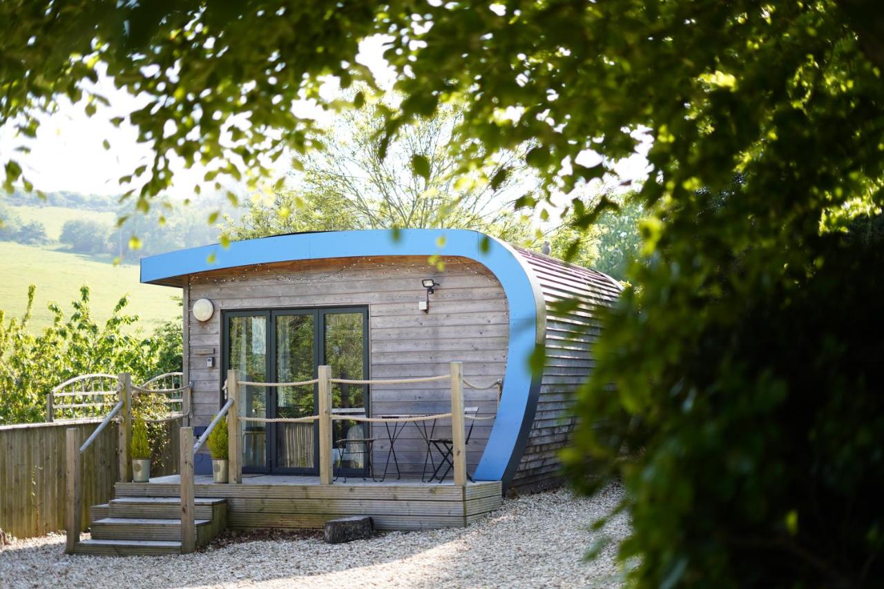 Escape Pod in Devon, 5 mins from beach + parking - B&B