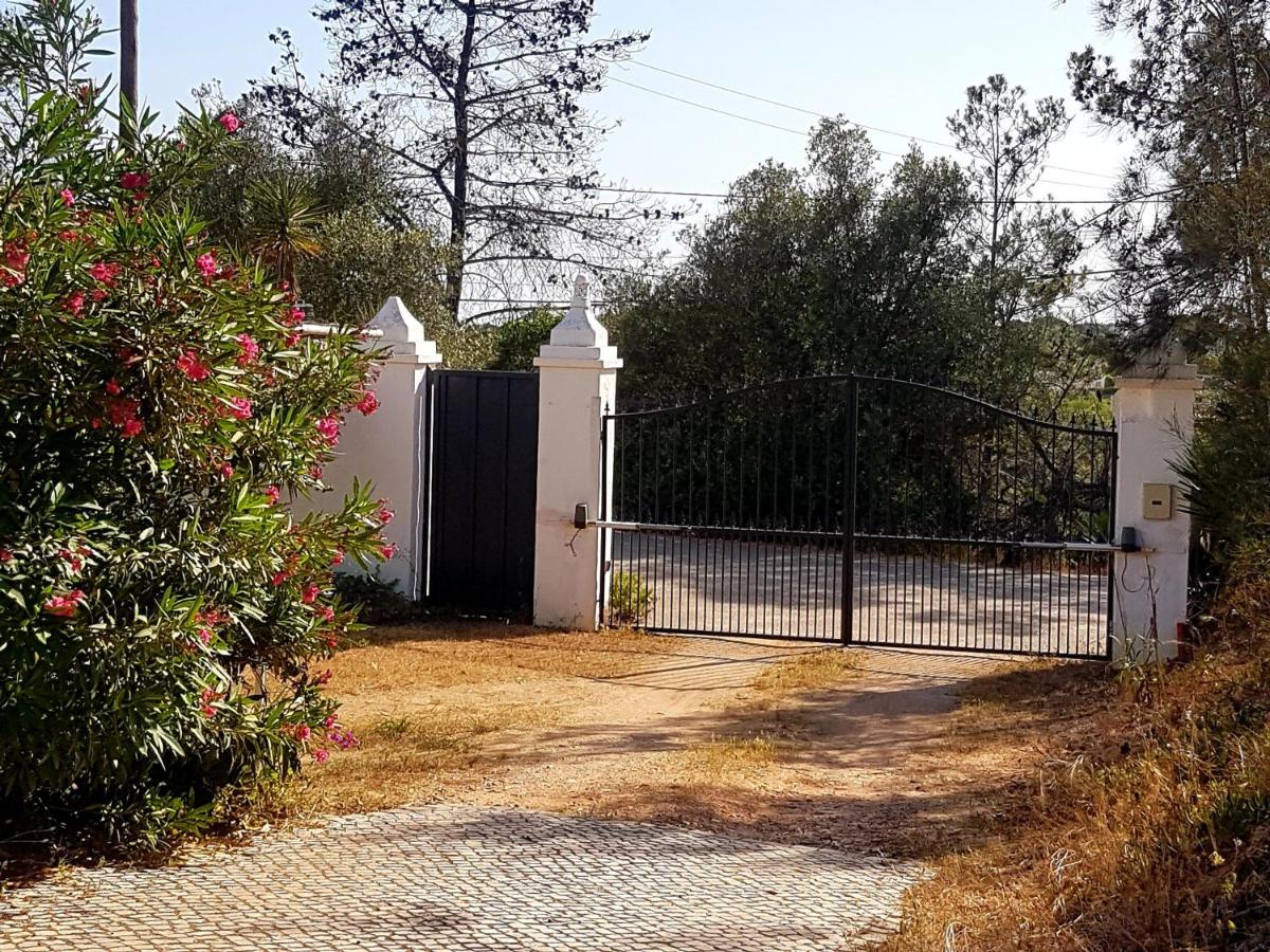 KOALA Valdareina, Piscine chauffée, Bénagil-Carvoeiro - B&B