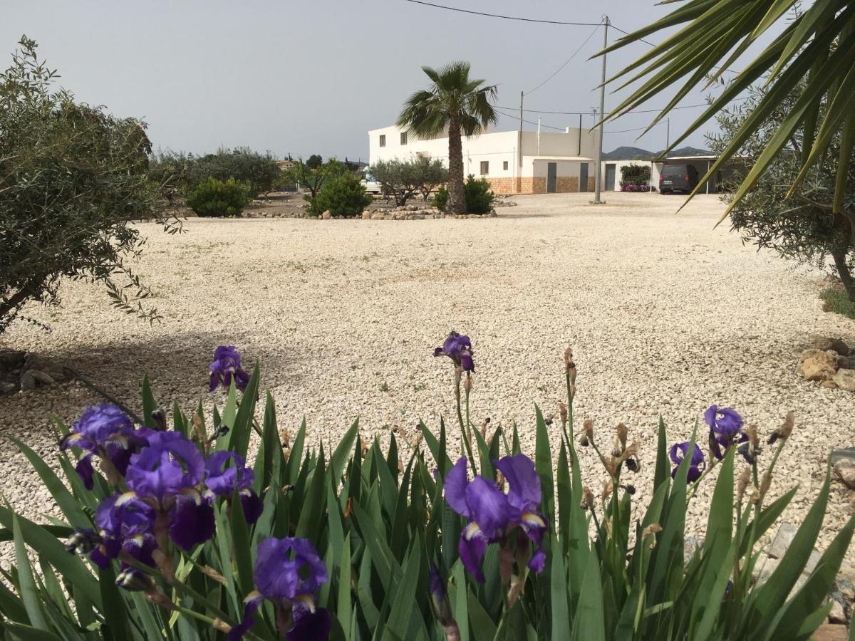 Casa Lumbreras - Ferienwohnung Esparragalico