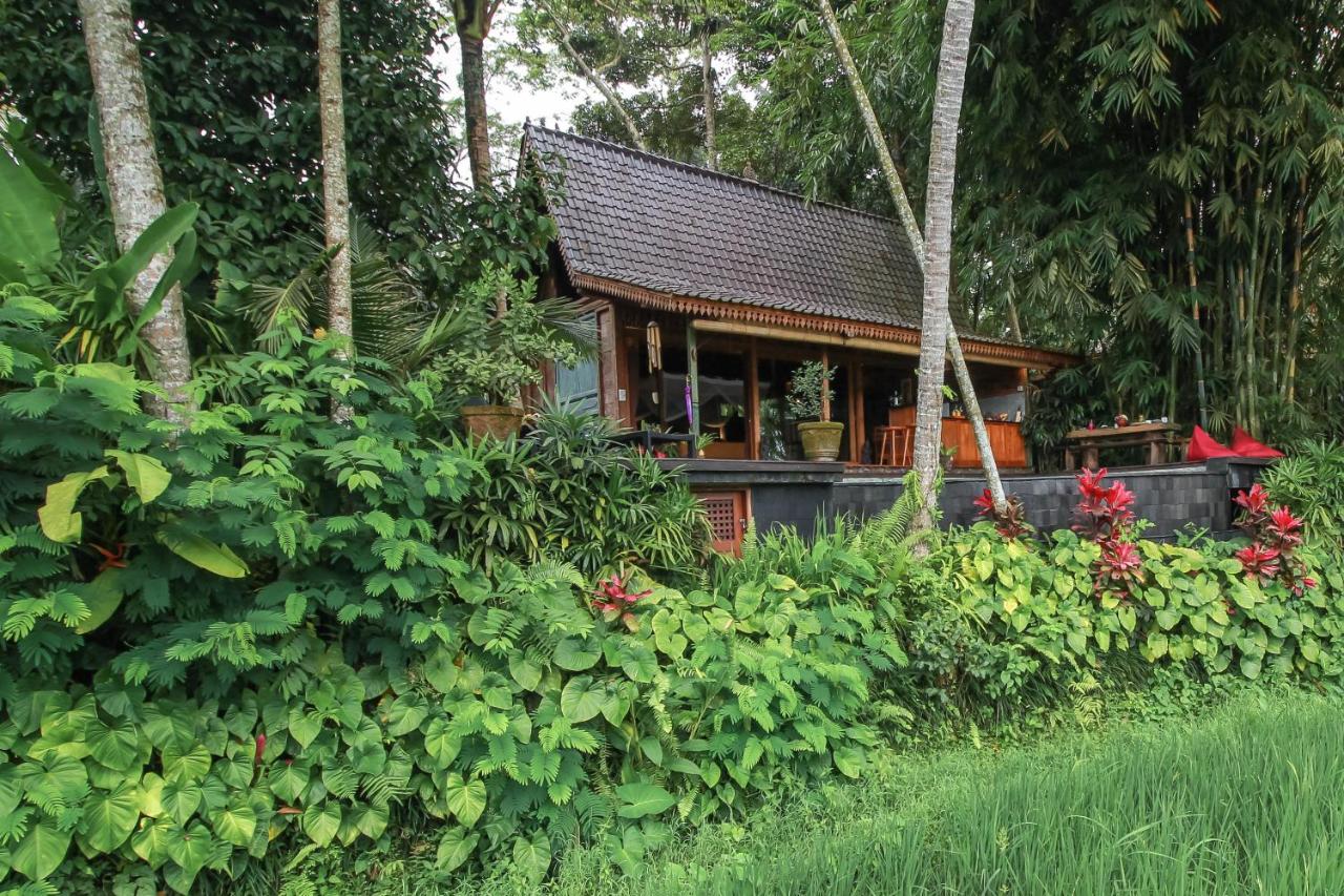 Surya Villa