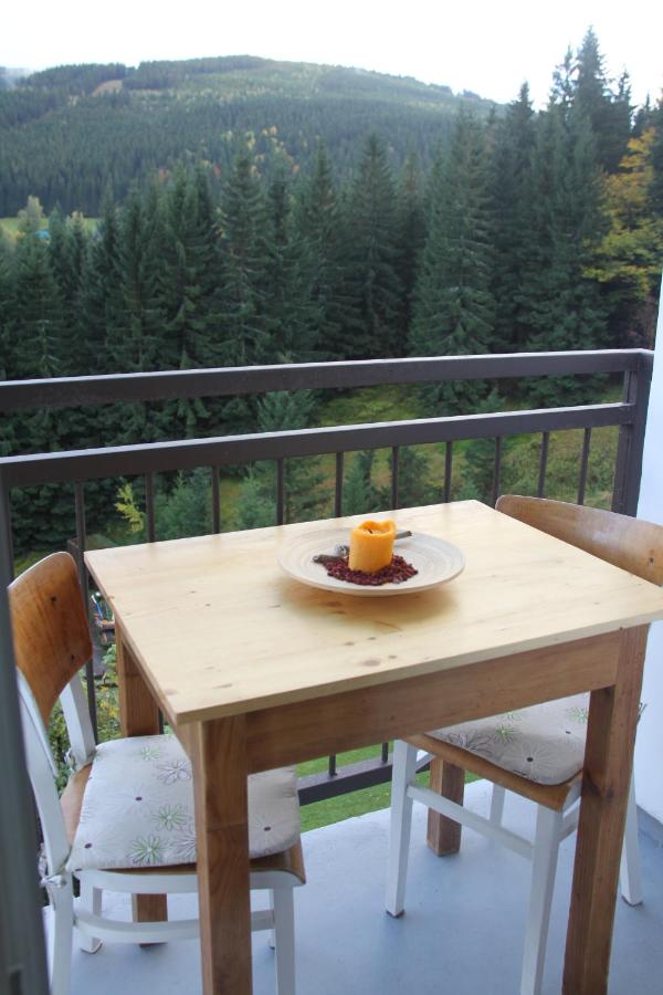 Cozy apartment in Bedřichov - Špindlerův Mlýn - B&B