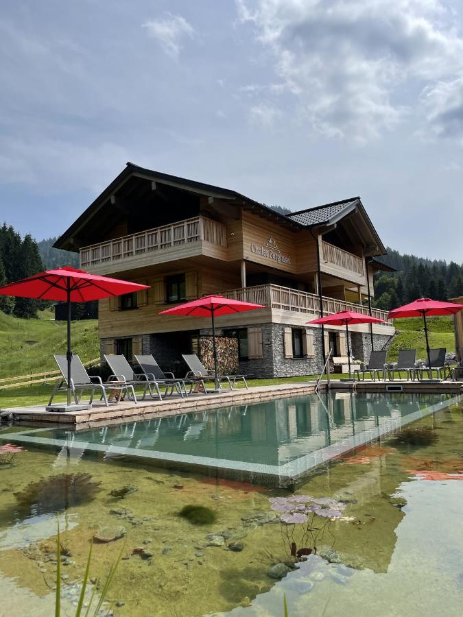 Chalet BergInsel - Ferienwohnung