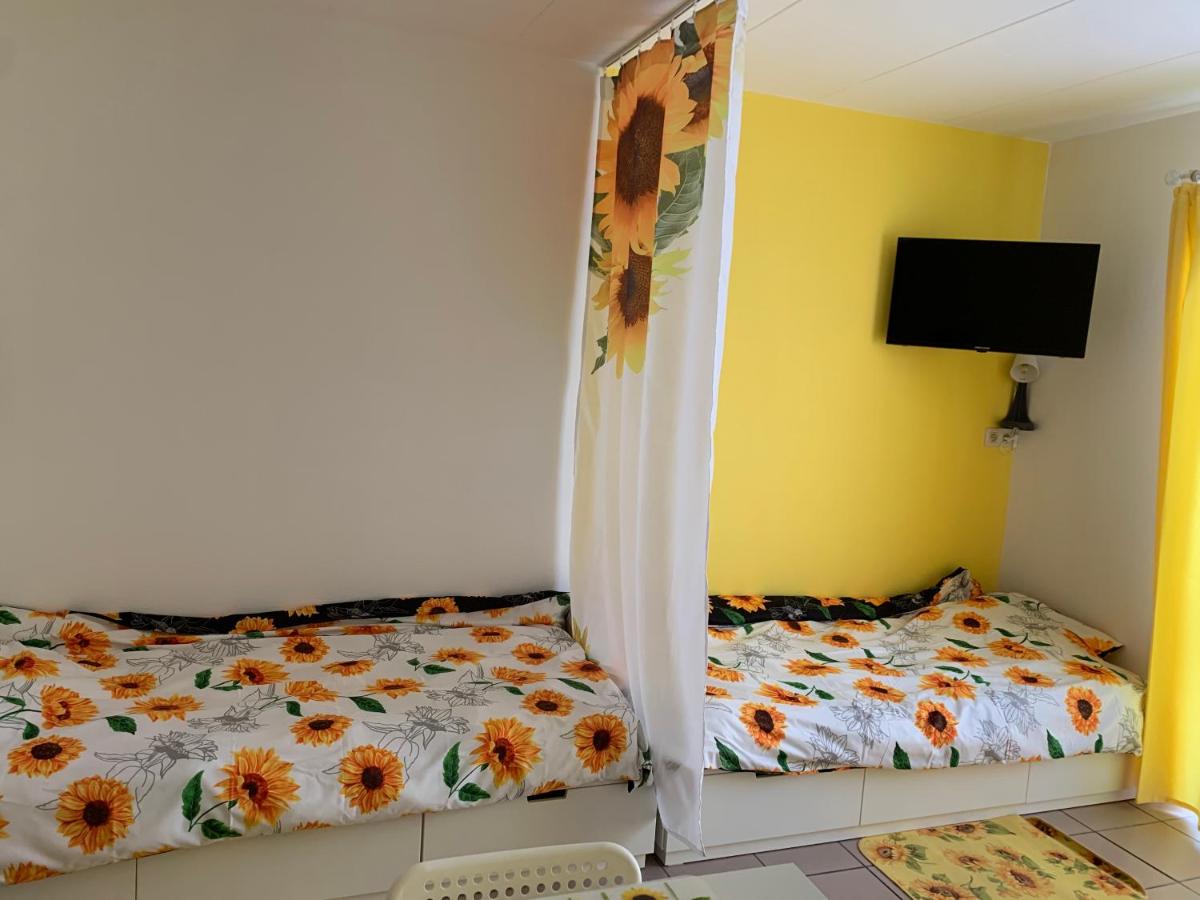 Camera Doppia con Letti Singoli con Vista Giardino