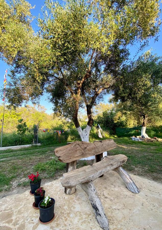 Endless Green: feel free and cozy in nature - Chambres d’hôtes Perivóli