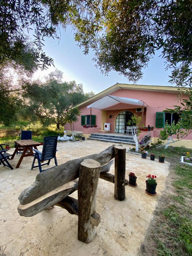 Endless Green: feel free and cozy in nature - B&B Perivóli