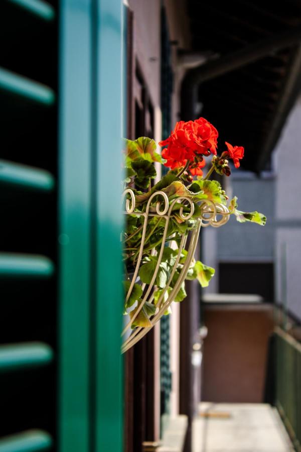 La Ringhiera Tropicale-bilocale con parcheggio e self check in - Bed and Breakfast