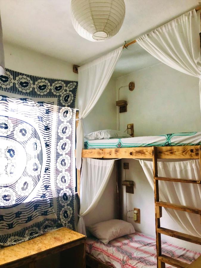 Bed in 4-Bed Female Dormitory Room