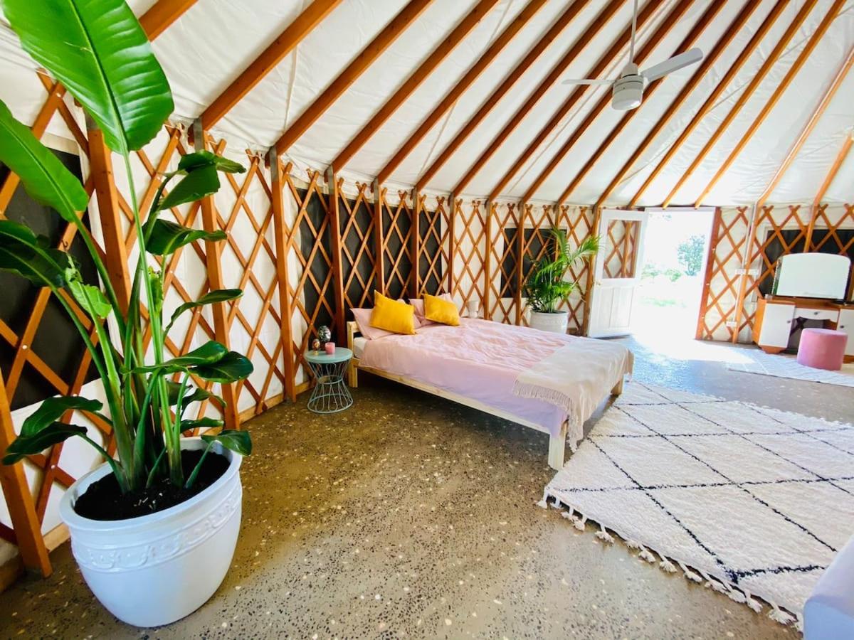 B&B Eureka - Byron Bay Hinterland Eco-Retreat Ivory Yurt - Bed and Breakfast Eureka