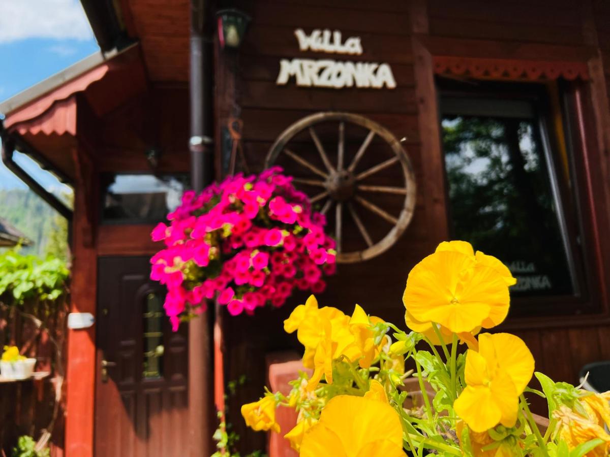 Willa Mrzonka Guesthouse - B&B Zakopane