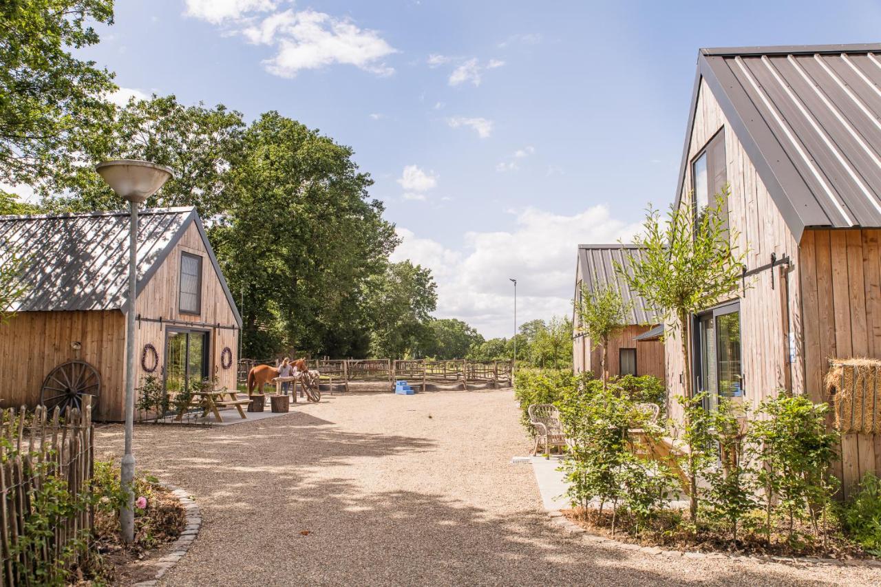 BoksheideBuiten - Bed and Breakfast Eersel