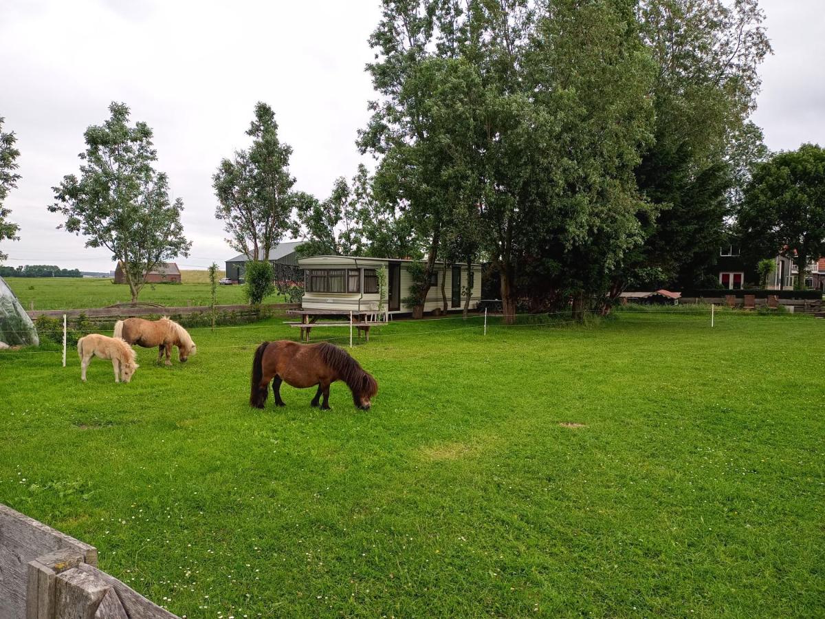 De Boerenskuur..chalet.. - Ferienwohnung Assendelft