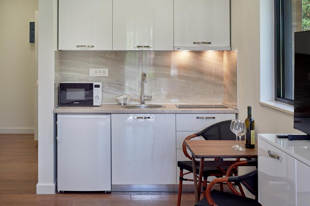 Studio with Mountain View