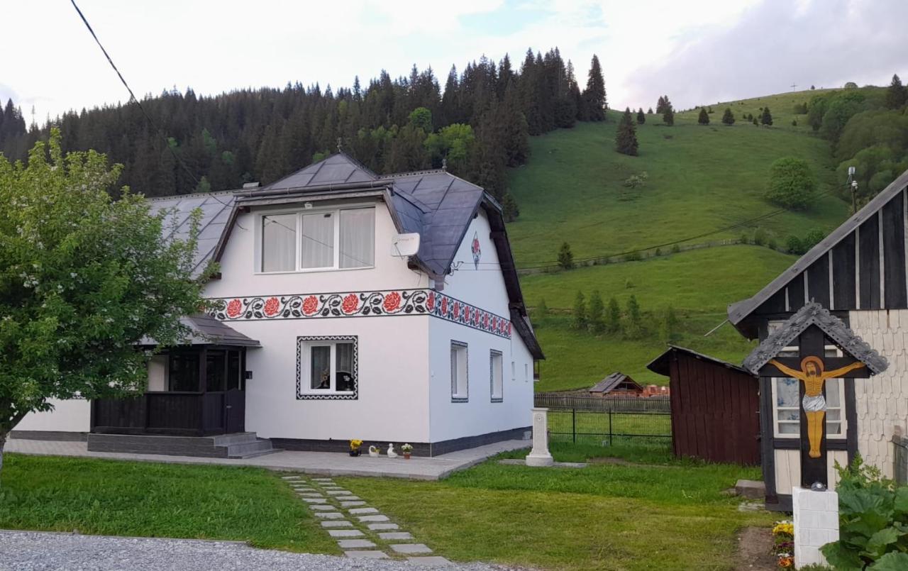 Casa Dumitru si Elena Ciocanesti Bucovina - B&B