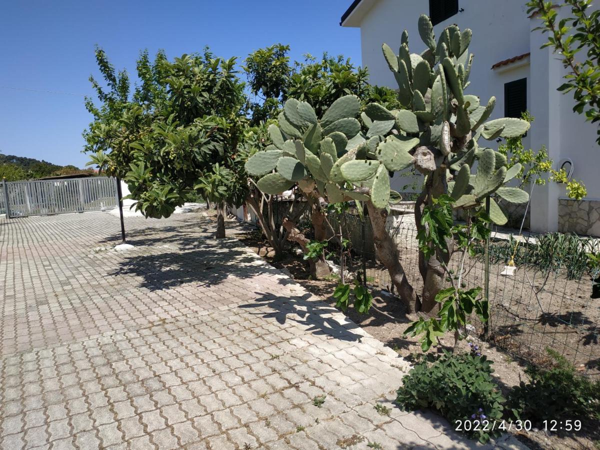 Villa Scialara - B&B