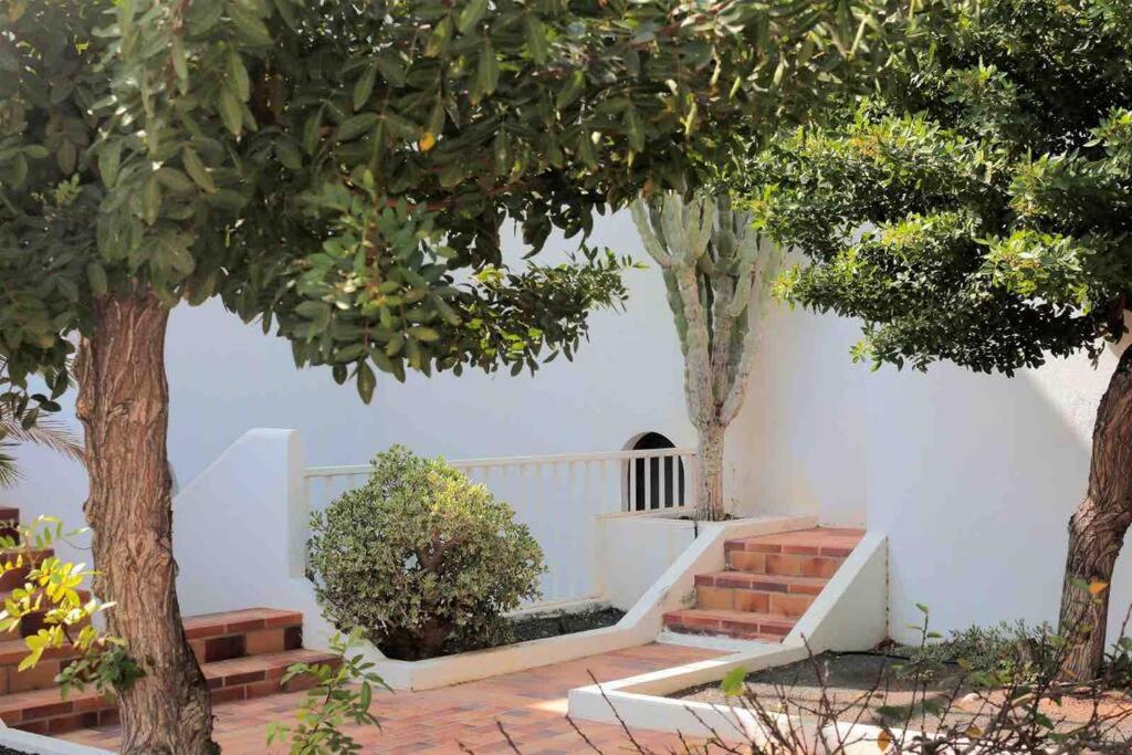 DARUMA APARTMENTS 1-Bedroom Apartment with Sea Views - B&B Costa Teguise