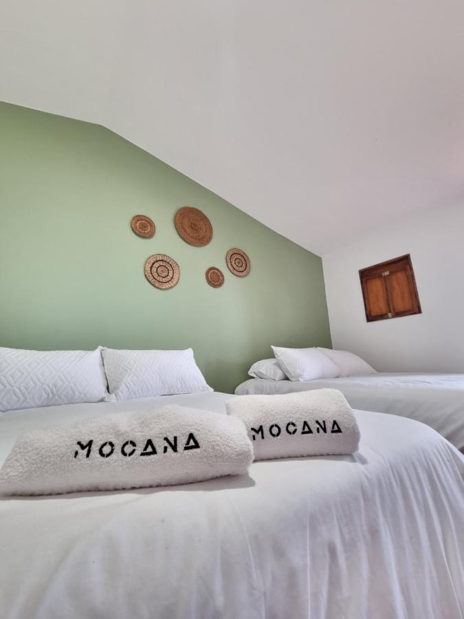 B&B Circasia - MOCANA BIOHOTEL - Bed and Breakfast Circasia